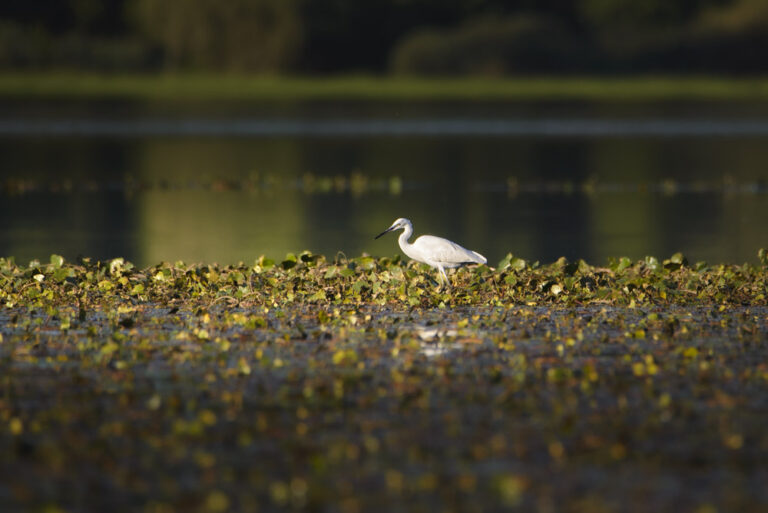 gallerie adriapula_lago di varese_240923_0192